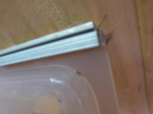 Caravan Boat Motor Home Conversion Elddis Bathroom 680x530mm Window REF:001 image 1