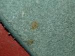 2005 Abbey Aventura Caravan Carpets image 3