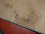 2005 Abbey Aventura Caravan Carpets image 5