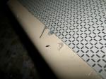 Caravan Used Glass Hob Lid 520mm x 430mm image 4