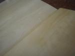 Caravan Wardrobe Doors x2 motorhome conversion image 2