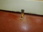 Elddis Mistral XL Caravan Front Gas Locker Door image 4