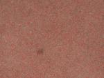 Sterling Eccles 2003 2 Caravan Carpets image 2