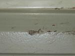 Swift Corniche Caravan Gas Locker Door image 3